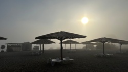 d41f64fc-e0b8-4da0-acc0-26ac4badcb0a