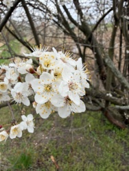 196f6bb8-4311-4a34-aee2-260c91480f85