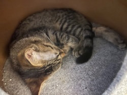 46178cc7-c5ba-4ce2-b2a7-495d0aee4276