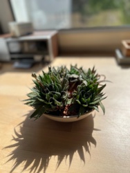 adf991be-6da0-4139-8327-d7d25f96faa8