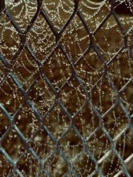 b2a86bfb-4e7a-4eac-97ba-5f543a05dfa5