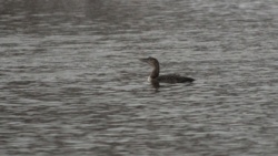 30fdbbdf-5155-4294-b0ec-76e62b71d487