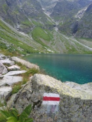 4b4b3866-c571-49e5-a1cd-cc26c99324c4