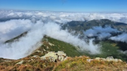 1f509960-6e79-4f7b-9028-c97e11f03e45