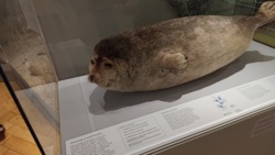 1bf5e213-0c7e-461d-8591-0712c4b3b3ae