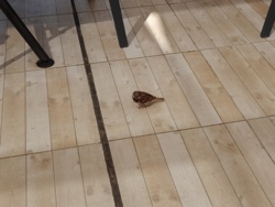 dd6a181f-f45d-4bca-a9e6-219d5fcfd67e