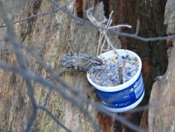 7108935f-3734-4f91-9dc0-5acd103ba631