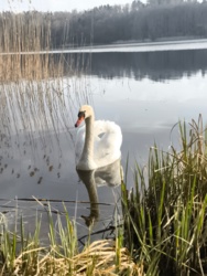 d3b094da-77cf-4a7d-b164-5e7c679734e4