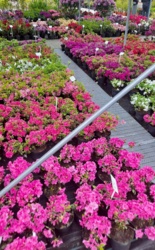 1c44a972-3b38-4491-84f7-ab6592d87dec