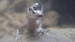 d291d117-785b-4861-b866-48885f73f5fe