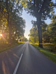 f18a4a05-9a60-45b6-b993-6cf0e5441d6d