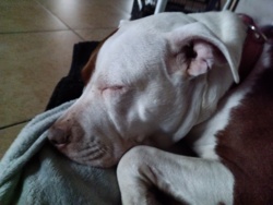 3411621f-13ef-4d2c-98be-da6bcb98fb0f