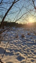 8c443eb2-3f8b-44c3-844f-9352c1ae1374