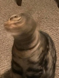 ec96488b-c388-4029-bf99-1495c921d796