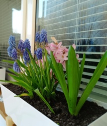 6d327f49-129c-49f2-89a4-66bacd22a9f7