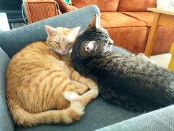 b9b97714-c59a-4b63-a35f-33658674f654