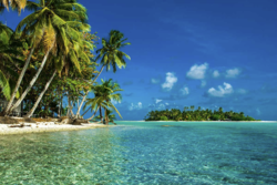 56ba688a-232d-442e-aa33-c39df93db892