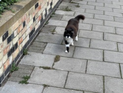 53905bab-fcf3-4d4d-ac81-8655127d2189