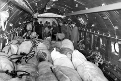 29f0fad2-f791-44be-b0c1-3358704ec60c