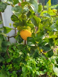 ca5301f3-a02b-44ca-8996-13bc8042085e