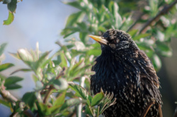 99bf78d0-97e4-42ff-9d9c-dd4ecb7dd72b