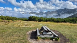 c4feaf68-71ed-426e-92d2-42743ae68da0