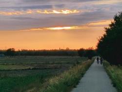 e18660ec-ff59-4885-b050-91aaf33a926b