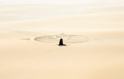 003ef752-a97c-445e-9a3e-95619a378bed