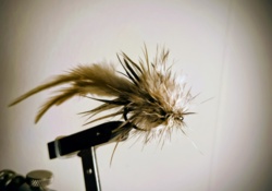 273fb235-060e-4156-a8b5-0f6860fcd530