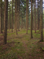 4f4e42b7-5471-46b1-baae-b51e1ff8c390