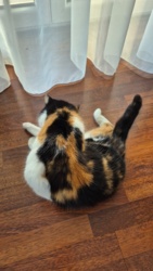 086ce257-9474-48f3-9140-3558e237553a