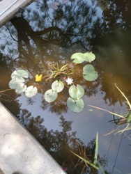 923e0ff5-7dc5-4a35-8aa7-6dfad0874b36