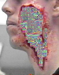 d395544e-f0ff-40f9-bf14-0e3a4d66db86