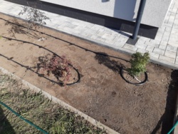 e9b09839-93d0-4e41-af6d-5e67ba5c747e