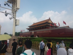 a023d801-a91a-4231-a4c7-8933a5caf771