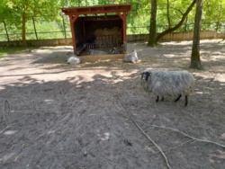 9fedeb6b-9a0c-416d-983b-6d38f689d31e