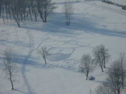 3396e011-612f-4466-b4cd-f9b7ce76e437