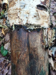 e701659b-08c3-49a0-a04c-b72d382456d2