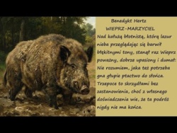 Wieprz Marzyciel Benedykt Hertz Poezje Wiersze | Poezja Dla Duszy
