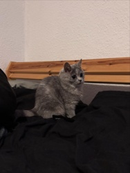 bfca3706-7ab5-4324-8d72-ae68373fd0e7