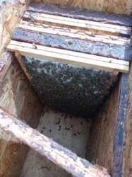 c1a40984-888f-4b52-9229-c03a40aaeff7