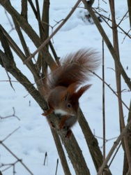 62395871-c062-4435-a167-6ca2c8a7db77