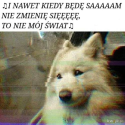 59c23d75-723d-46d6-b7e5-fdaee98c17fc