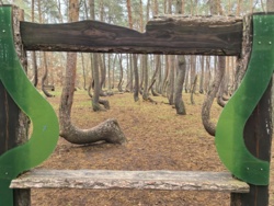 2ec1eae3-b50f-46a6-94e2-f95dad48f944