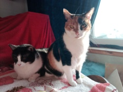 15833942-52cc-467c-93da-9de53ecd338c