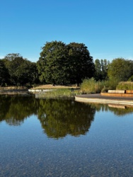 cabe2db3-5f4f-4f19-8132-3f199fc48c18