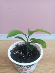 c5e1c86f-e46e-4563-9fa1-2256d827b896