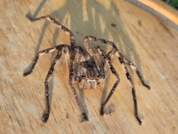 e06c3d92-83ba-40e8-b661-f07e109798ca