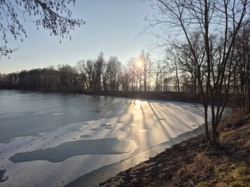 aecd28b3-7c41-47b4-be39-b7584848526e