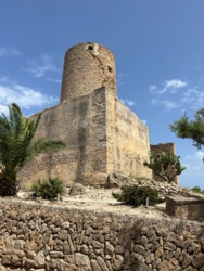 52af38b8-43aa-4297-89fd-984d7df9cfe0